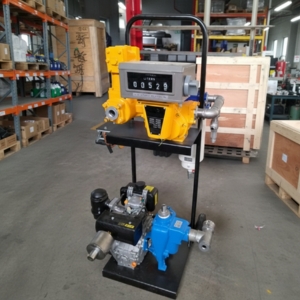 Custom pump solution on a skid