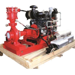 Custom pump solution on a skid